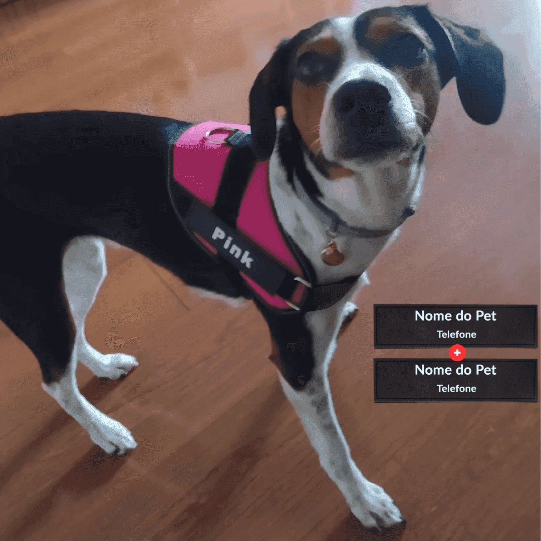 Coleira Peitoral Personalizada para Cachorros com Tags - Safe Buddy - Mundo Animalito