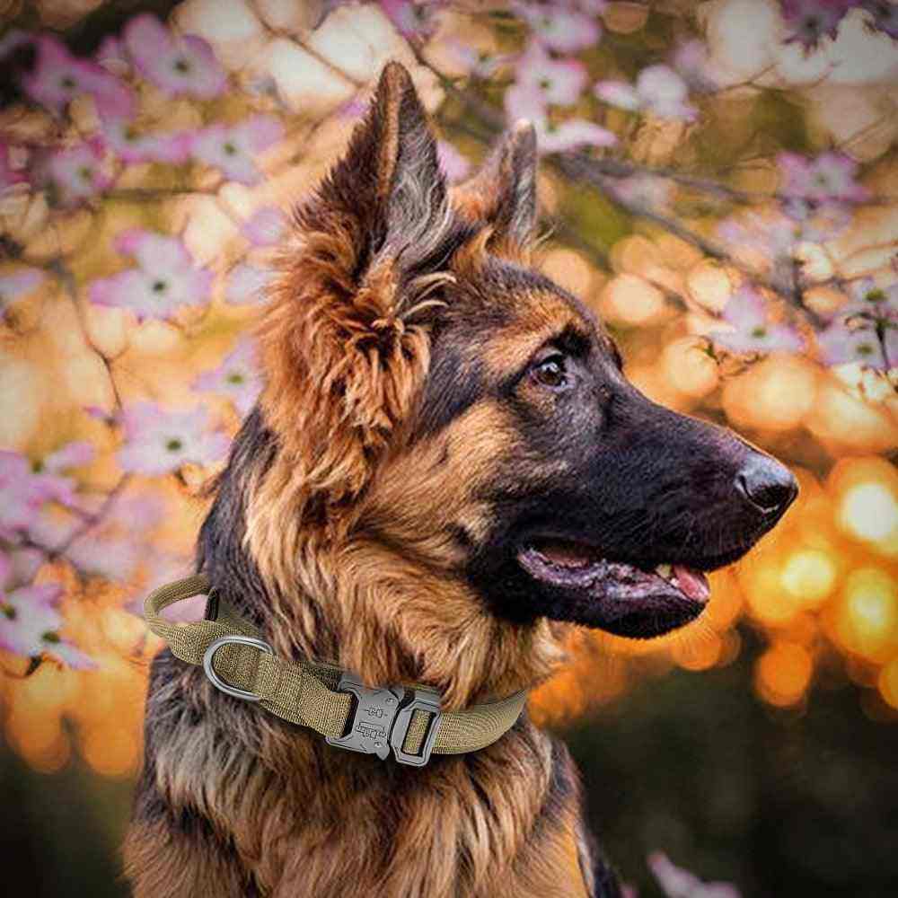Coleira Tática Militar Para Cães Ultra Reforçada - Mundo Animalito